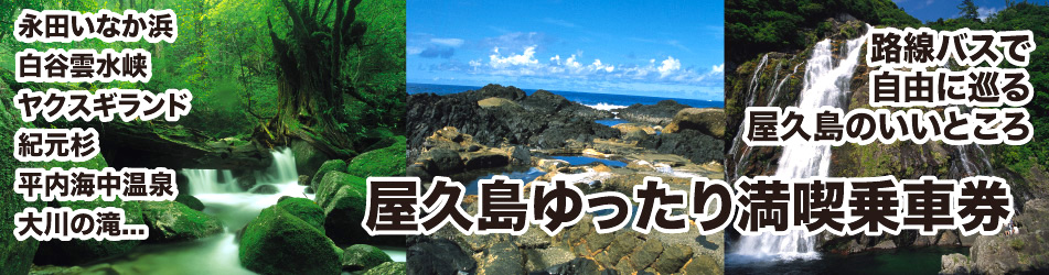 屋久島ゆったり満喫乗車券