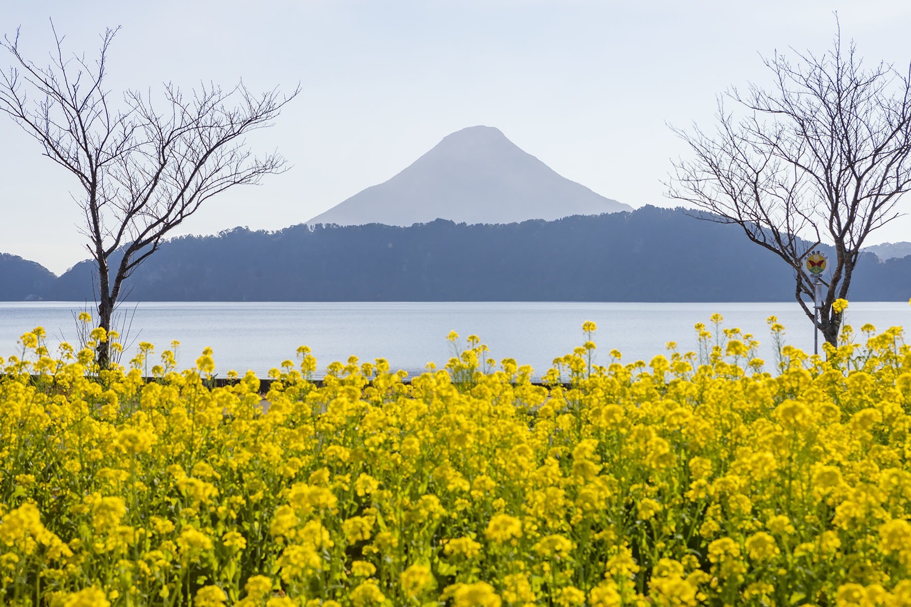 のったりおりたりプラン（知覧･指宿）